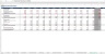 Theme Park/ Snow Park/ Water Park Excel Financial Model Template
