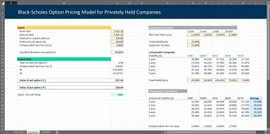Black-Scholes Option Pricing Excel Model (with add-on for Privately Held Companies)