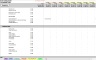 Basic Forecast Excel Model Template