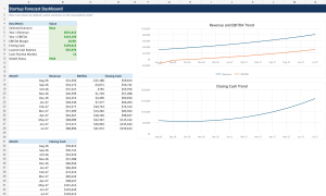 12-Month Startup Financial Model Toolkit