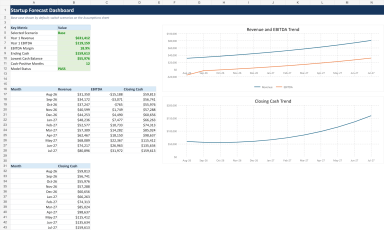 12-Month Startup Financial Model Toolkit