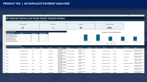 AP Duplicate Payment and Vendor Master Integrity Analyzer