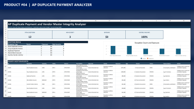 AP Duplicate Payment and Vendor Master Integrity Analyzer