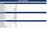 Company Valuation DCF & Comparable Multiples + Real Estate Investment & Development Model
