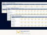 Content Creator Financial Model & Revenue Planner