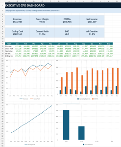 Small Business CFO Dashboard - Financial Management & Cash Flow Excel Template