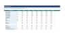 Complete LBO Underwriting Financial Model - Excel Template