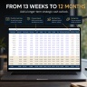 13-Week Cash Flow Forecast & CFO Dashboard Excel | AR/AP, Scenario Planning, Runway & Management Report