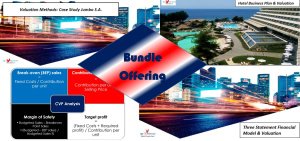 Financial Models Bundle (General 3 Statement, Hotel, Retail (Toys & Seasonal), and Break Even Analysis).