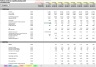 Platform & Bolt on Acquisition Planning Excel Model Template