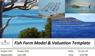 Offshore Fish Farm Start-Up Model & Valuation Excel Template