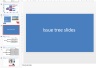 Management Consulting Presentations Template (Selected Slides)