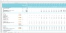 Blockchain/ICO Forecasting and Analysis Financial Excel Model Template