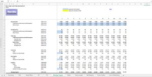 FMCG (Fast Moving Customer Goods) Business Model in Excel - Management Consulting