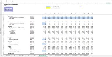 FMCG (Fast Moving Customer Goods) Business Model in Excel - Management Consulting