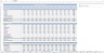 Hospital Budgeting Template