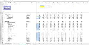 Media Site (YouTuber, blogger, podcasters...) Business Excel Model Template