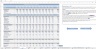 IT Startup Budget Excel Template