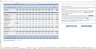Professional Services Budget Excel Template