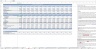 Professional Services Budget Excel Template