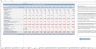 Professional Services Budget Excel Template
