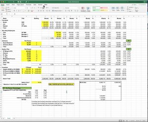 Start-Up Stock (Equity) Distribution Excel Model