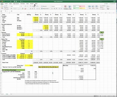Start-Up Stock (Equity) Distribution Excel Model