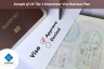 Business Plan of a UK Tier 1 Entrepreneur Visa