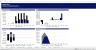 Real Estate - Hotel/Resort Development Excel Model Template