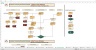 Process Redesign Workbook