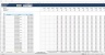 Commercial Model - Operation and Management (Bidding Excel Model)