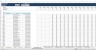 Commercial Model - Operation and Management (Bidding Excel Model)