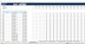 Commercial Model - Operation and Management (Bidding Excel Model)
