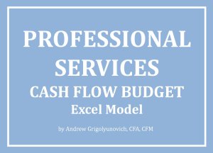 Professional Services - Cash Flow Budget Excel Model