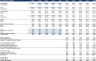 LBO (Leveraged Buyout) Excel Model