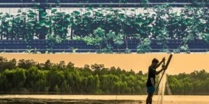 Agricultural Financial Model Bundle