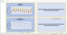 Monte-Carlo Simulation - Forecast - Key Performance Indicators - Gold Mining Industry