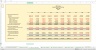Monte-Carlo Simulation - Forecast - Key Performance Indicators - Gold Mining Industry