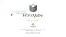 ProfitQube™ - Enterprise Integrated Financial Planning for Production, Trade and Services (Excel/VBA, release 1.2.18)