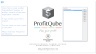 ProfitQube™ - Enterprise Integrated Financial Planning for Production, Trade and Services (Excel/VBA, release 1.2.18)