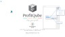 ProfitQube™ Services - Enterprise Integrated Financial Planning for delivering Services (Excel/VBA, release 1.2.18)