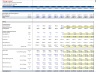 Discounted Cash Flow DCF Valuation Model Template (Mining Company)