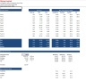 Discounted Cash Flow DCF Valuation Model Template (Mining Company)