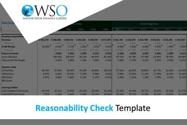 Reasonability Check - Excel Model Template