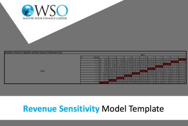 Revenue Sensitivity - Excel Model Template