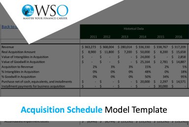 Acquisition Schedule - Excel Model Template