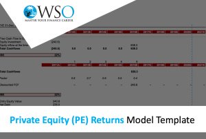 Private Equity (PE) Returns - Excel Model Template