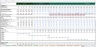 Debt Rating Costs Schedule - Excel Model Template