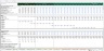 Debt Rating Costs Schedule - Excel Model Template