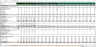 Debt Rating Costs Schedule - Excel Model Template